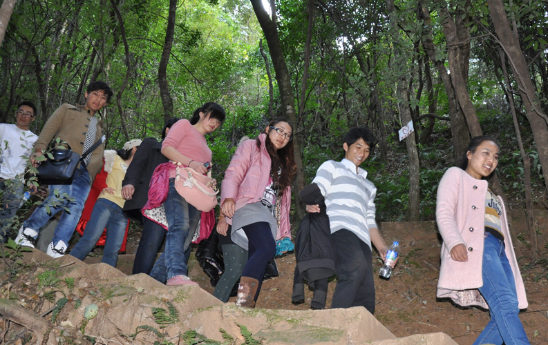 青龍峽位于昆明西郊安寧市青龍鎮(zhèn)滇中生態(tài)大峽谷中，景區(qū)有保存較為完好的植物群落，遮天蔽日的參天古木；有浪漫山花，野果飄香，還有清秀寧?kù)o的田園風(fēng)光。河谷沿岸古柳成蔭，幾十里的云南櫻花大道成為昆明郊游靚麗的風(fēng)景線。景區(qū)中溪水潺潺，千姿百態(tài)、千奇百怪的蔓藤風(fēng)光隨處可見(jiàn)，號(hào)稱“都市身旁的小九寨。