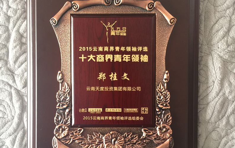 在“互聯(lián)網(wǎng)大時(shí)代”的背景下，天度作為本土很大和很有名的互聯(lián)網(wǎng)服務(wù)企業(yè)，為近萬家傳統(tǒng)企業(yè)轉(zhuǎn)型互聯(lián)網(wǎng)+提供了服務(wù)和幫助，獲此獎(jiǎng)項(xiàng)后，我們將再接再厲，創(chuàng)造更高的社會(huì)價(jià)值